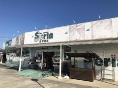 Ｓｅｒｉａ　苗木店
