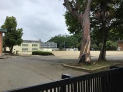 幕張東小学校