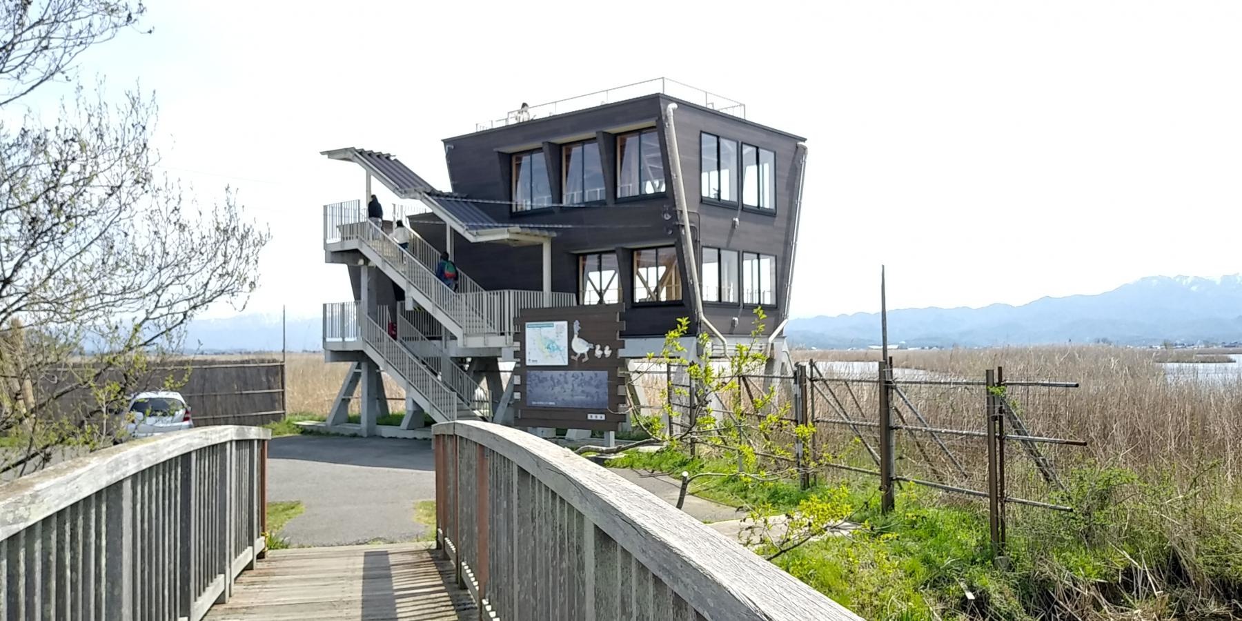 野鳥観察ができる建物
