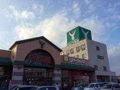 ワイプラザグルメ館福井南店