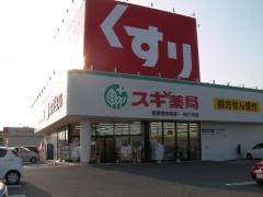 スギ薬局　西尾道光寺店
