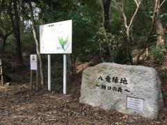 八竜緑地