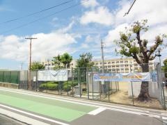 南五葉小学校