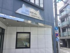 のざわ動物病院