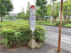 「栄町公園」バス停留所