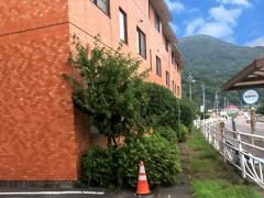 峡南ケアホームいいとみ