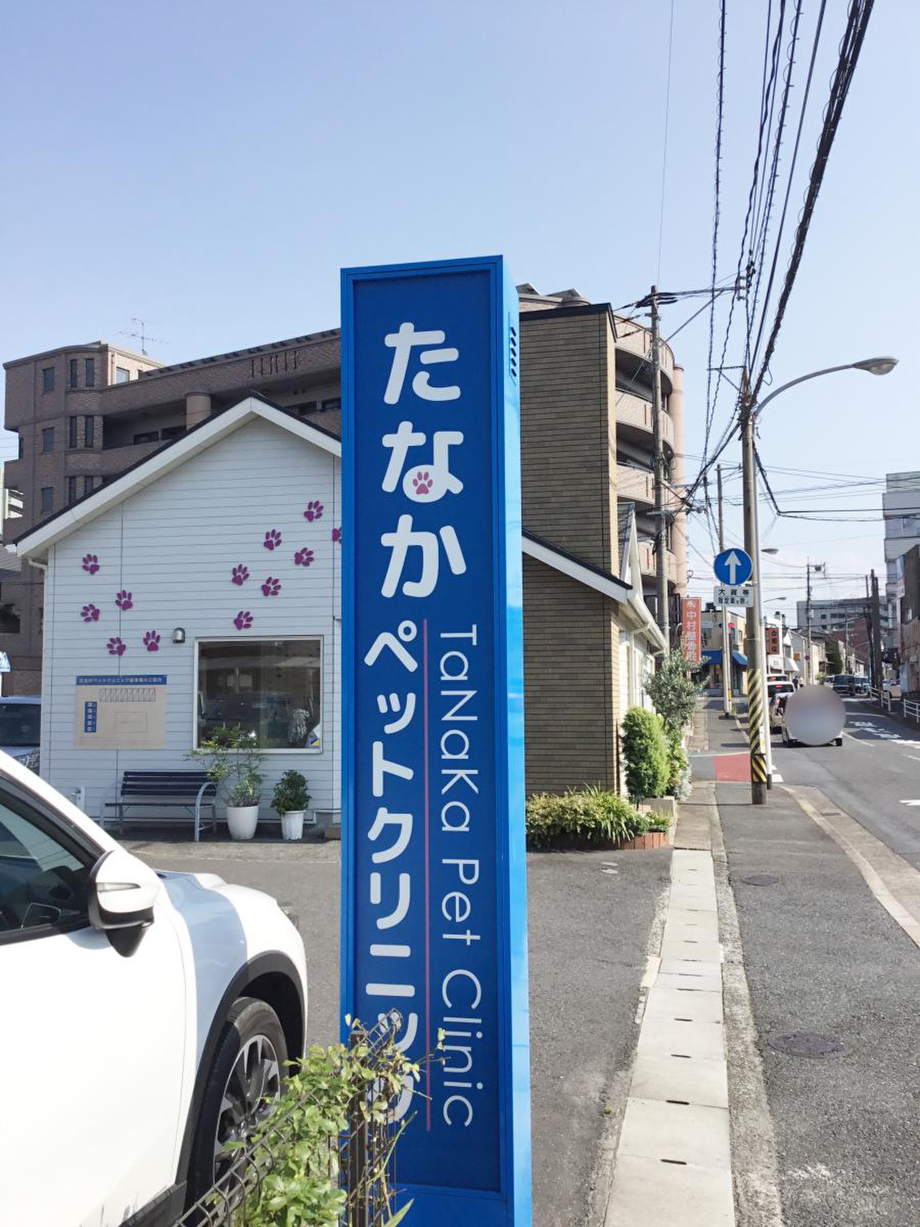 田中 ペット クリニック