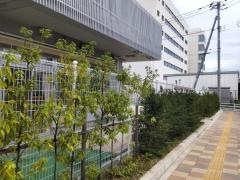 新蒲田保育園