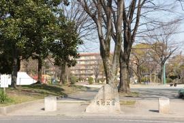 荒越公園