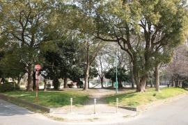 荒越公園