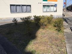 伝馬南街園