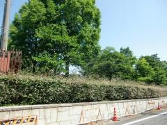 桧ケ根公園