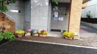 駒橋内科医院