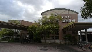 とまり整形外科