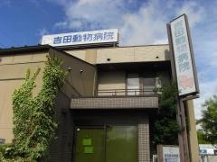 吉田動物病院