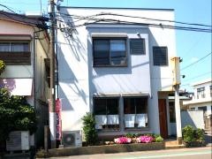 松の実