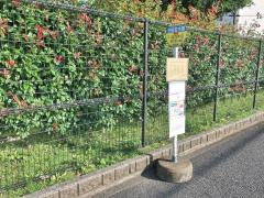 「四谷並木橋」バス停留所