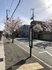「大手町勝福寺下」バス停留所