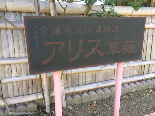 アリス草薙