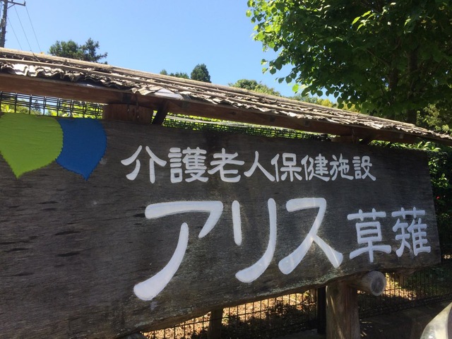 アリス草薙