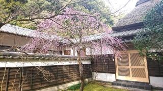 清水寺本坊庭園