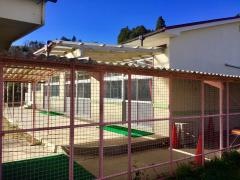 石内幼稚園