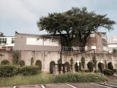 寄居武蔵野自動車教習所