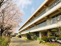 七栄小学校