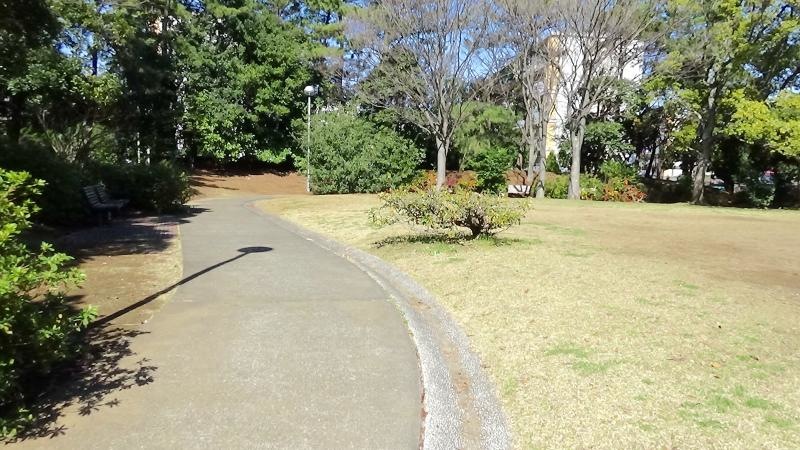 公園内歩道