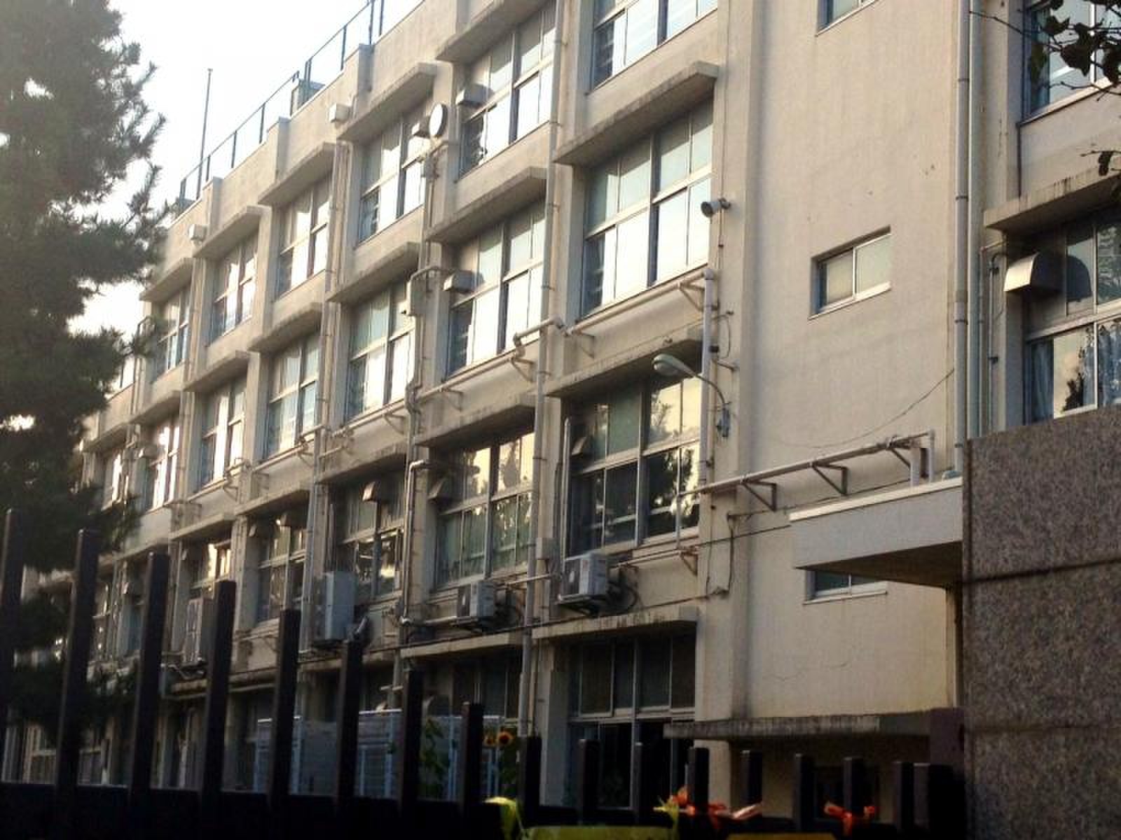 公の場での発言・インタビュー報道記録