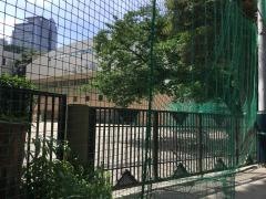 こども教育宝仙大学