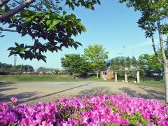 国府台中央公園
