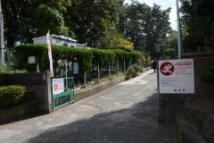 緑地小学校
