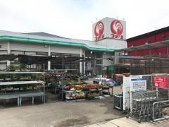 コメリハード＆グリーン　金光店