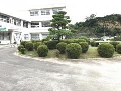 宇和島市立吉田中学校