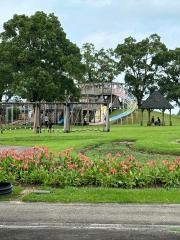農業科学公園ルピナスパーク