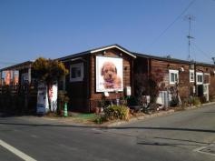 ＤＯＧＮＥＷＳ