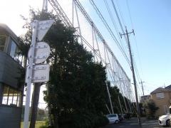 町田モダンゴルフクラブ