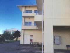 見龍堂メディケア木和田島