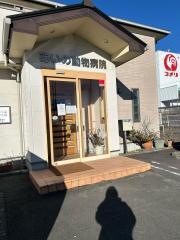 あいの動物病院