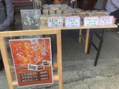 湖舟