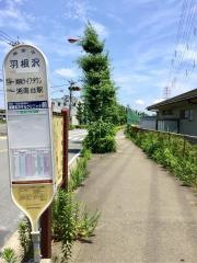 「羽根沢」バス停留所