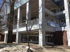 桑園小学校