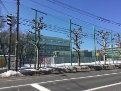 桑園小学校