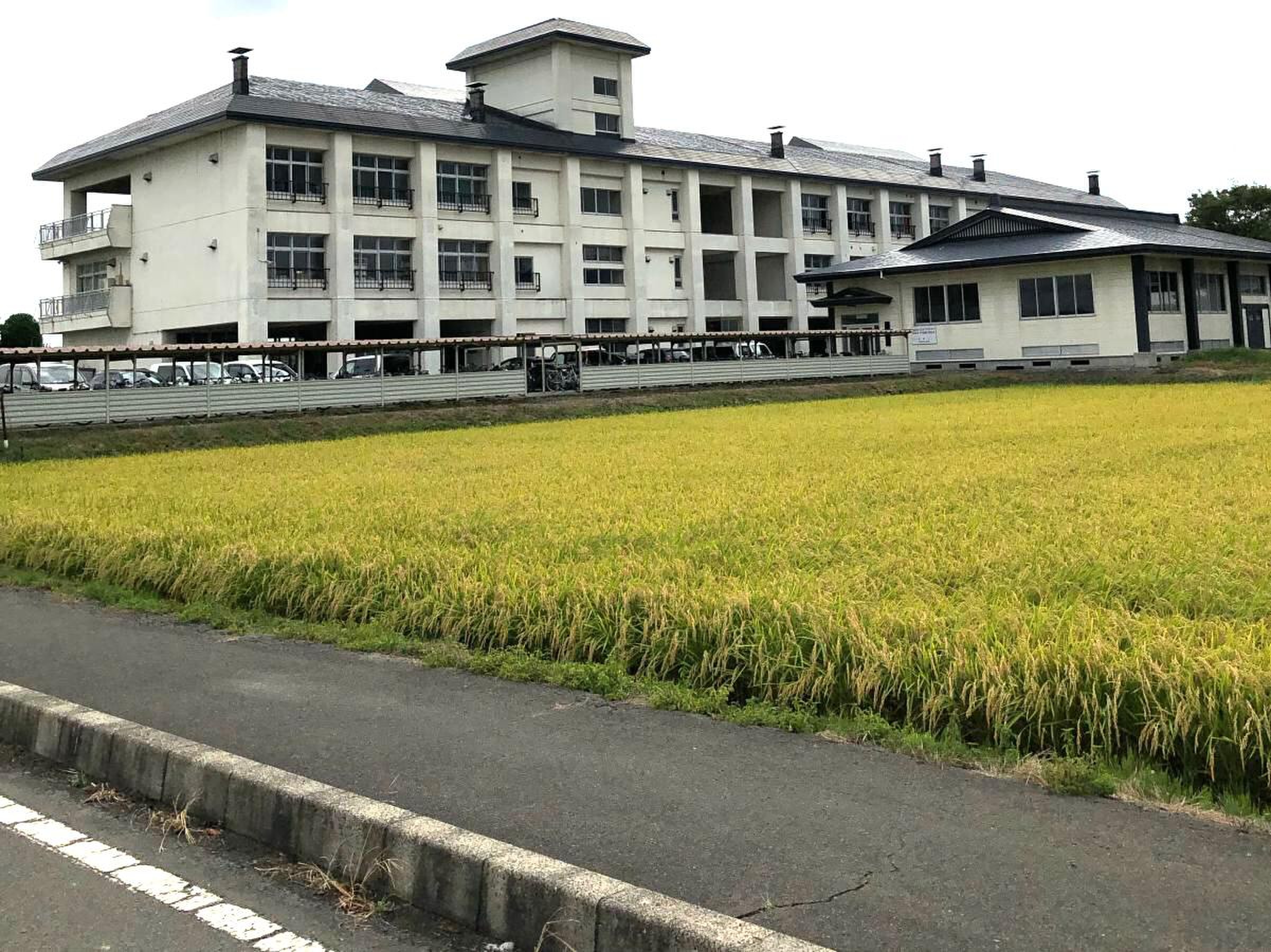 みなみ しろ 中学校