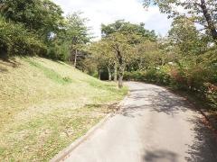 共樂公園