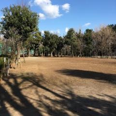 羽根木公園