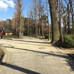 羽根木公園