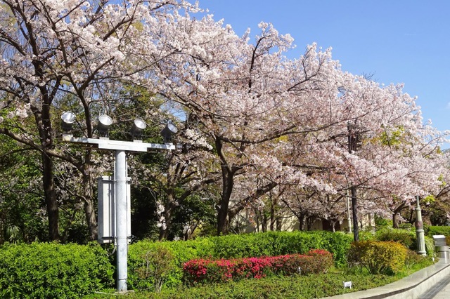 施設写真39