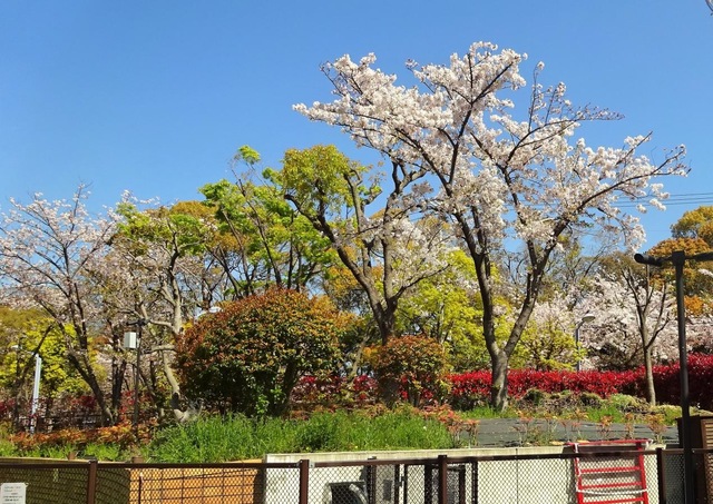 施設写真38